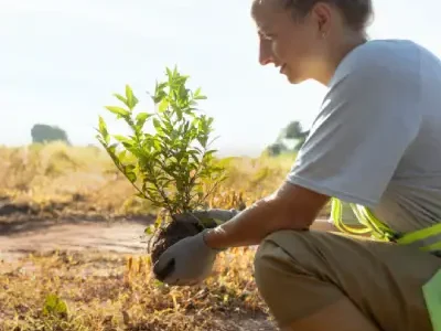 Reforestacion plantar arboles team building madrid